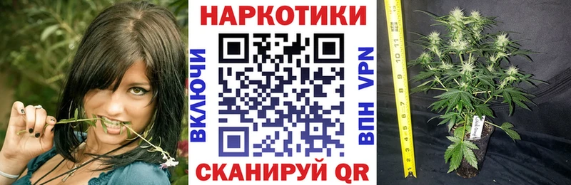 Купить наркотики сайты Холм Амфетамин Мефедрон Alpha PVP Бошки Шишки ГАШ КОКАИН
