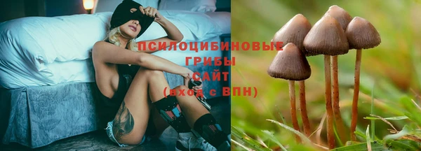 бутират Абаза