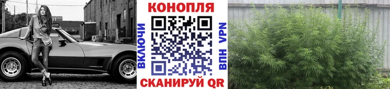 МАРИХУАНА гибрид Холм